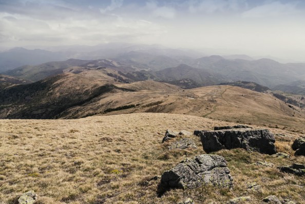 Kopaonik mountain in summer